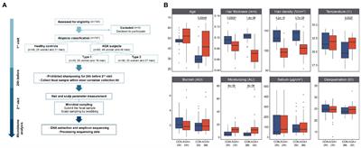 Comparative analysis of scalp and gut microbiome in androgenetic alopecia: A Korean cross-sectional study